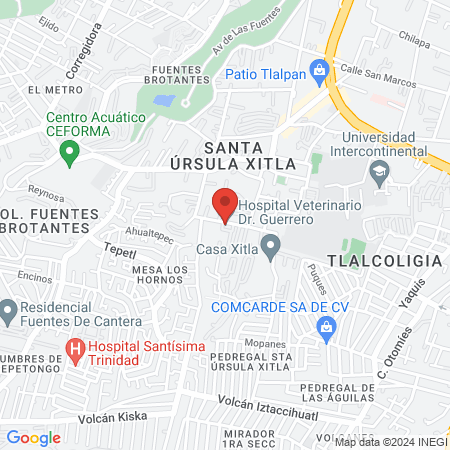 Hospital Veterinario Dr. Guerrero map