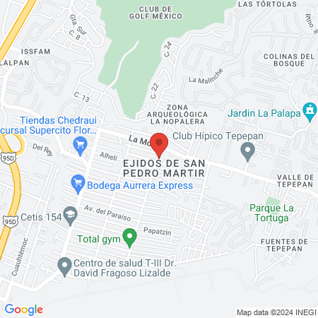 Ideal Dent "San Pedro Mártir" map