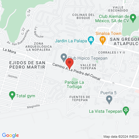 Clinica de fisioterapia FISIOALIK map