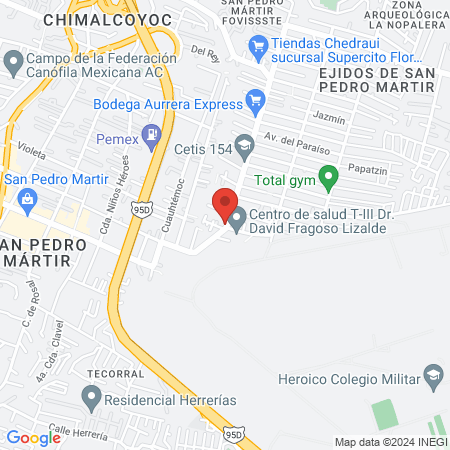 Servicio podologico map