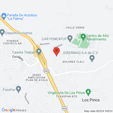 Estética "Josmau" map