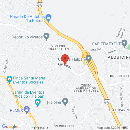 Estética "Shiva" map