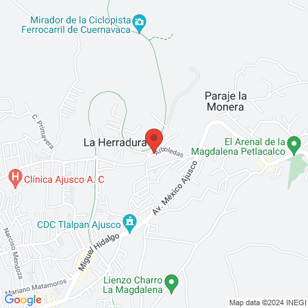 Esterilizaciones perritos y gatitos map