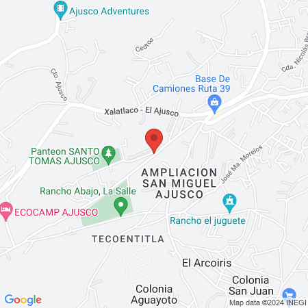 Unidad Medica Equina Santo Tomas S.a. map