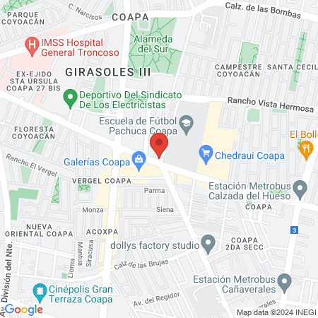 Guerrero L Ricardo Dr map