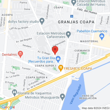 Anytime Fitness Coapa map