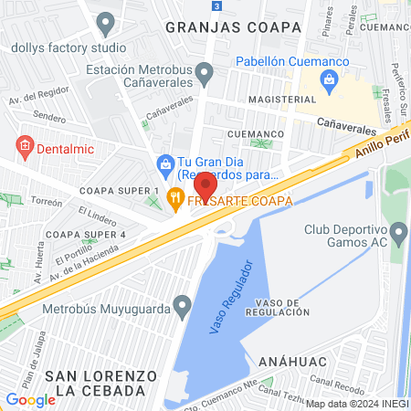 Yasmin Mendoza Piñeiro map