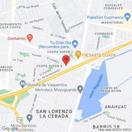 Centro Veterinario Coapa map