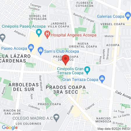 Saldivar Picazo Carmen R map