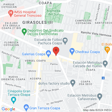 Dra. Juana Lydia Tapia Guzmán, Psiquiatra map