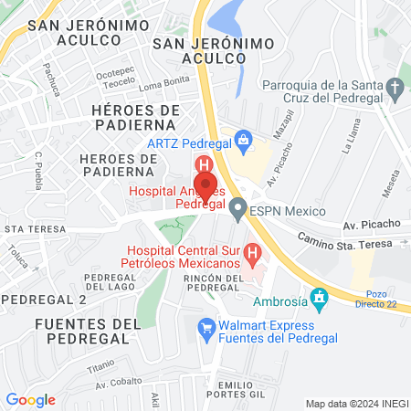 Dr. José Omar Santellán Hernández, NeurocirujanoOncólogo map