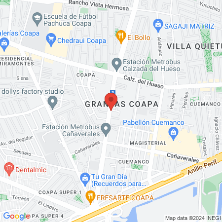 Reyes Lopez Ivan Alejandro map