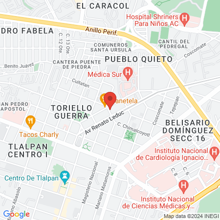 Dra. Bertha Itzel Concepción García González, Psiquiatra map