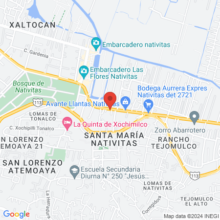 Estética Unisex Ale map