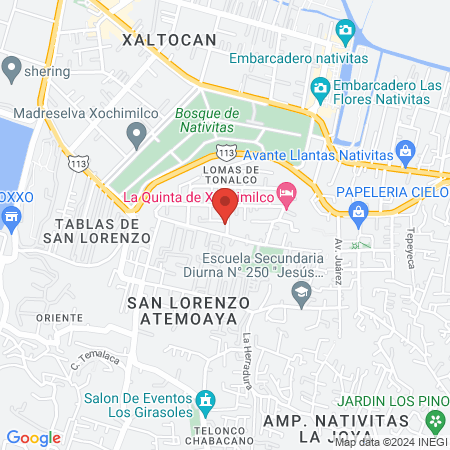 SANAMEDIC Fisioterapia, masajes Xochimilco map