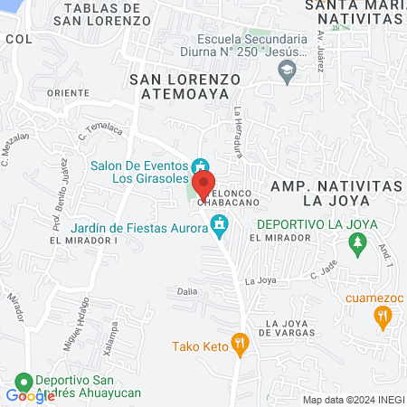 Ginecologa Belem Flores map