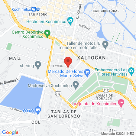 Baby Dino Animal Care & Training map