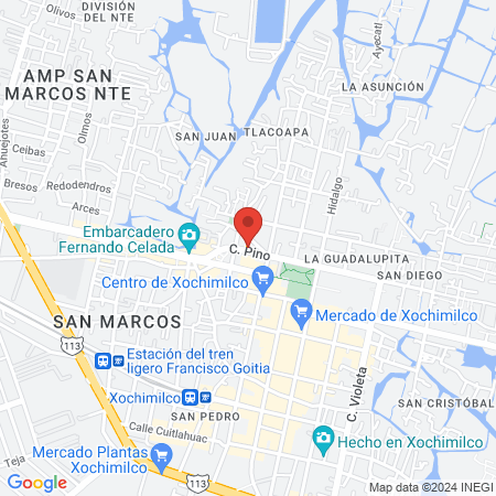 Calle pino 11 san agustín atlapulco map