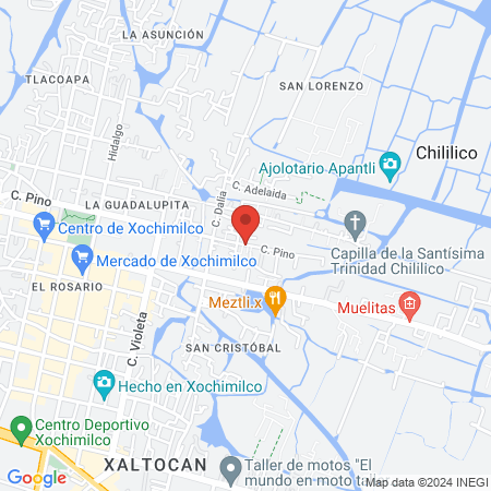 Especialidades Medico Quirurgicas map