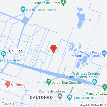 Temazcal Cipactli map