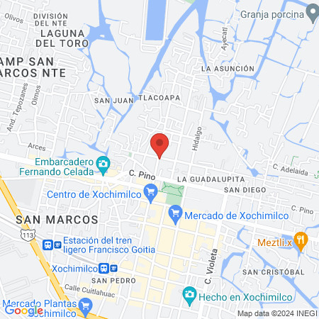 Veterinaria Rocky map