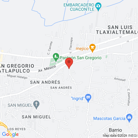 Lashes Study lizandra map