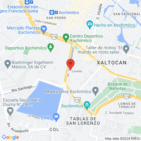 Dra. Evelyn Gross map