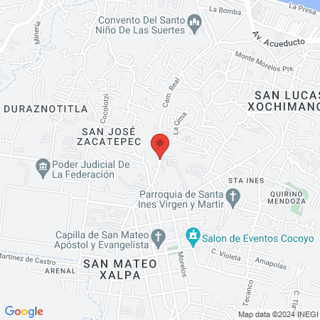 Dental Palmar Chico map