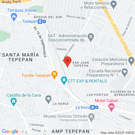 Podología Healthy feet map