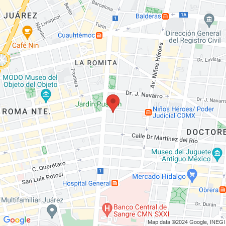 CONSULTORIO VETERINARIA AKIRA map