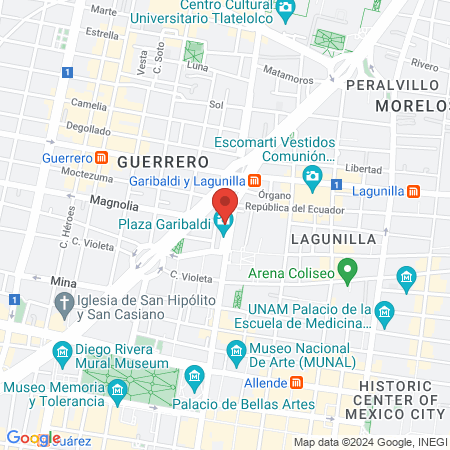 Dra. Victoria Esmeralda Castro map