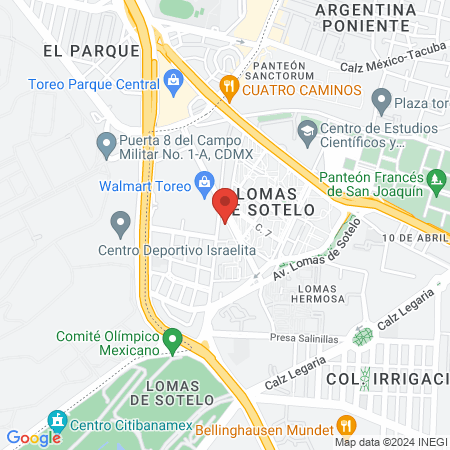 Veterinarios a Domicilio y en Línea - Budy map
