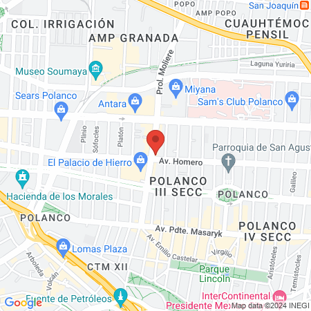 Animalitos Hospital Veterinario 24 horas Polanco map