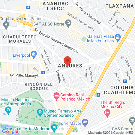 Dr. Adela Viveros Añorve map