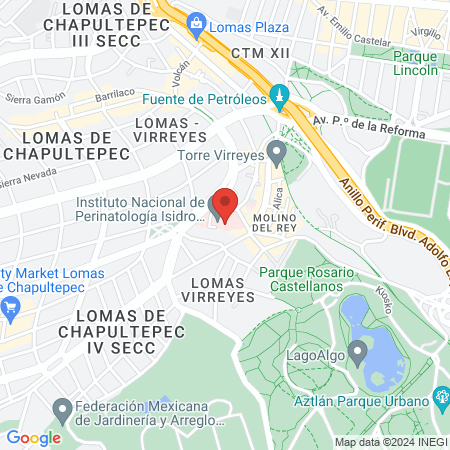 Hospital Perinatologia map