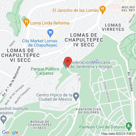 Doctora Alma Cristina Benhumea Rangel map