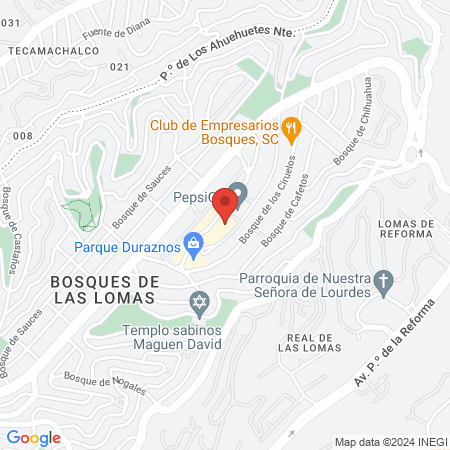 Dr. David López Garza, Psiquiatra map