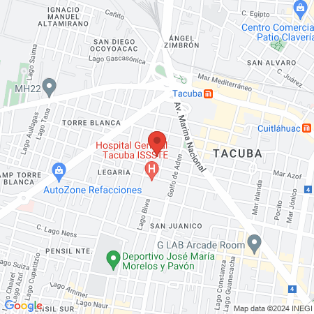 VETERINARIA MICHIGAN (veterinario y estética canina) map