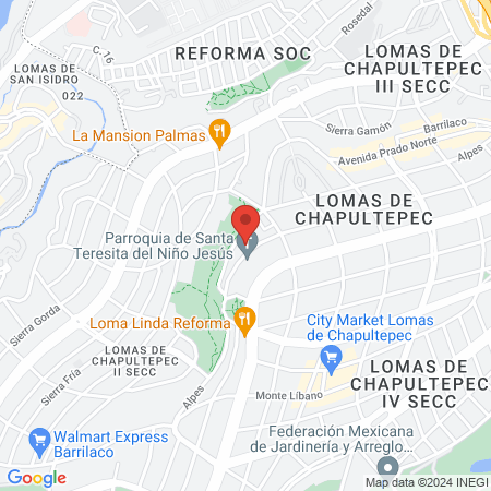 Vincent - by Alejandra Sánchez map