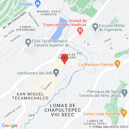Odontología Especializada Trevi map