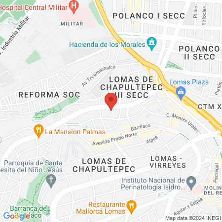 Beatness Palmas map