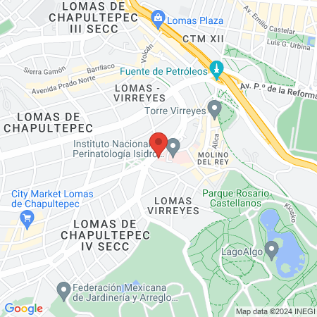 Instituto Nacional De Perinatologia map