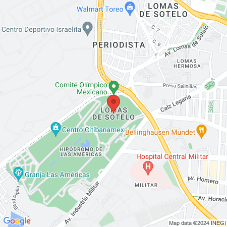 Dra. Mariela Vite map