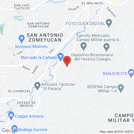 Biomagnetismo, Redes Magnéticas map