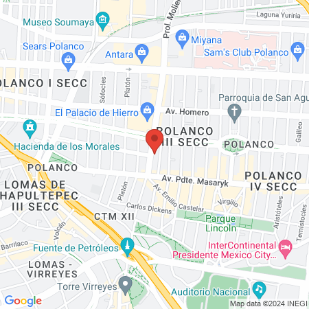 Consultorios Medicos Moliere 109 map