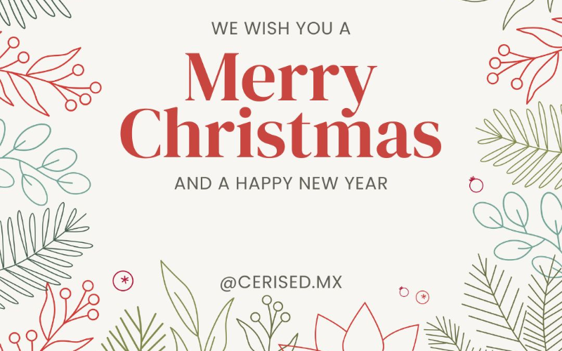 “Brilla como las luces de Navidad ✨”