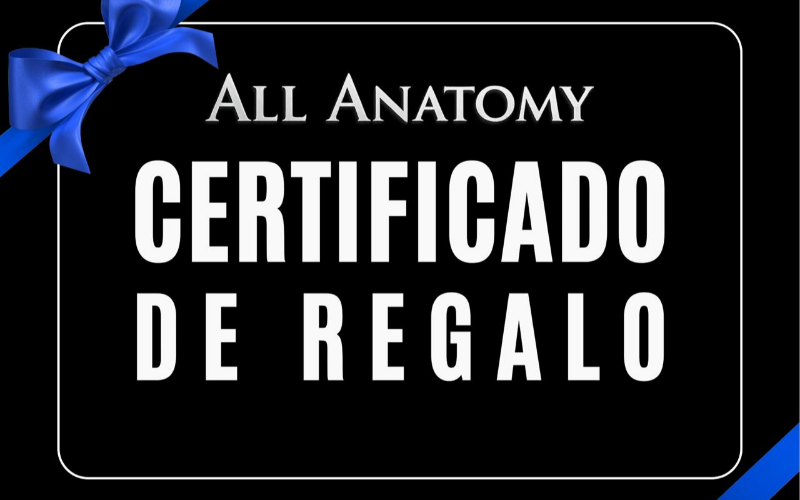 CERTIFICADO DE REGALO AJUSTE QUIROPRACTICO