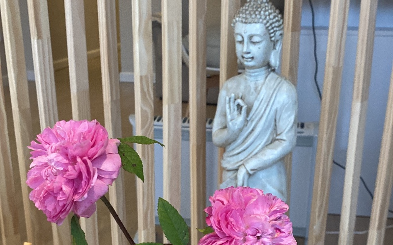 Un regalo muy Especial 